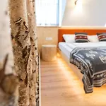 בית הארחה & Danica בוהין